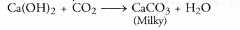 Chemical Reactions and Equations Class 10 Important Questions Science Chapter 1 image - 3