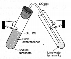 Chemical Reactions and Equations Class 10 Important Questions Science Chapter 1 image - 6