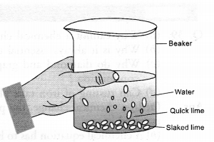 Chemical Reactions and Equations Class 10 Important Questions Science Chapter 1 image - 8