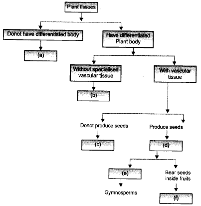 Diversity in Living Organisms Class 9 Important Questions Science Chapter 7 image - 17