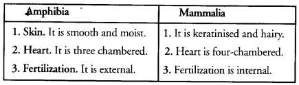 Diversity in Living Organisms Class 9 Important Questions Science Chapter 7 image - 28