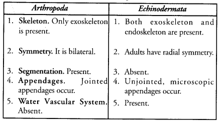 Diversity in Living Organisms Class 9 Important Questions Science Chapter 7 image - 29