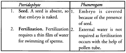 Diversity in Living Organisms Class 9 Important Questions Science Chapter 7 image - 5