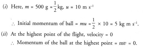 Force and Laws of Motion Class 9 Important Questions Science Chapter 9 image - 20