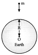 Gravitation Class 9 Important Questions Science Chapter 10 image - 14