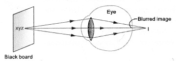 HOTS Questions for Class 10 Science Chapter 11 Human Eye and Colourful World image - 4