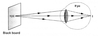 HOTS Questions for Class 10 Science Chapter 11 Human Eye and Colourful World image - 5