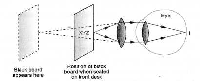 HOTS Questions for Class 10 Science Chapter 11 Human Eye and Colourful World image - 6