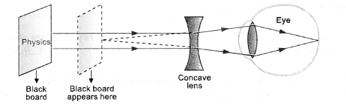 HOTS Questions for Class 10 Science Chapter 11 Human Eye and Colourful World image - 8