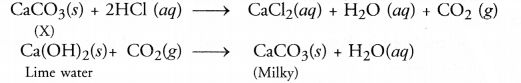 HOTS Questions for Class 10 Science Chapter 2 Acids, Bases and Salts image - 2