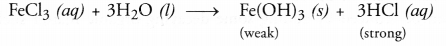 HOTS Questions for Class 10 Science Chapter 2 Acids, Bases and Salts image - 5