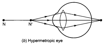 Human Eye and Colourful World Class 10 Extra Questions with Answers Science Chapter 11, 11a