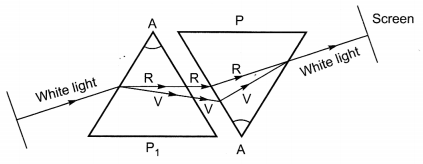 Human Eye and Colourful World Class 10 Extra Questions with Answers Science Chapter 11, 14a