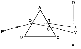 Human Eye and Colourful World Class 10 Extra Questions with Answers Science Chapter 11, 16a