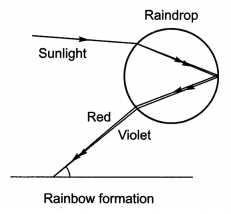 Human Eye and Colourful World Class 10 Extra Questions with Answers Science Chapter 11, 2a