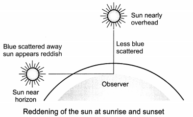 Human Eye and Colourful World Class 10 Extra Questions with Answers Science Chapter 11, 4a