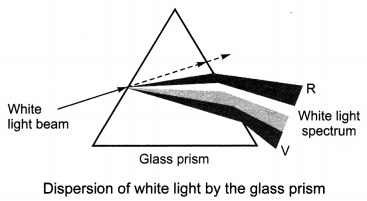 Human Eye and Colourful World Class 10 Extra Questions with Answers Science Chapter 11, 5a