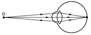 Human Eye and Colourful World Class 10 Extra Questions with Answers Science Chapter 11, 7a