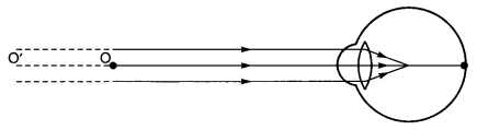 Human Eye and Colourful World Class 10 Extra Questions with Answers Science Chapter 11, 8a