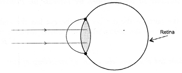 Human Eye and Colourful World Class 10 Important Questions Science Chapter 11 image - 1