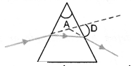 Human Eye and Colourful World Class 10 Important Questions Science Chapter 11 image - 11