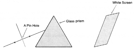 Human Eye and Colourful World Class 10 Important Questions Science Chapter 11 image - 12