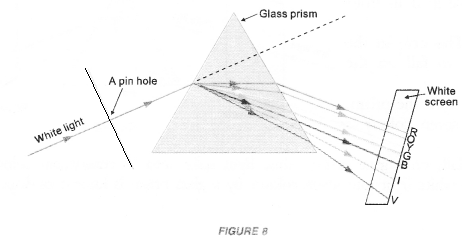 Human Eye and Colourful World Class 10 Important Questions Science Chapter 11 image - 14