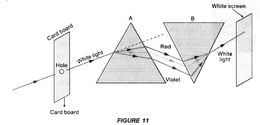 Human Eye and Colourful World Class 10 Important Questions Science Chapter 11 image - 15