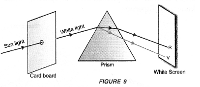 Human Eye and Colourful World Class 10 Important Questions Science Chapter 11 image - 17