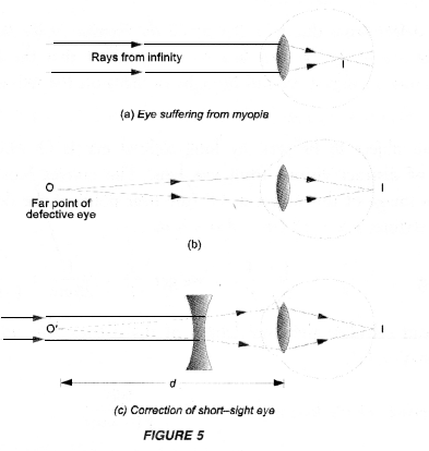 Human Eye and Colourful World Class 10 Important Questions Science Chapter 11 image - 24