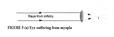 Human Eye and Colourful World Class 10 Important Questions Science Chapter 11 image - 5