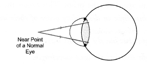 Human Eye and Colourful World Class 10 Important Questions Science Chapter 11 image - 9