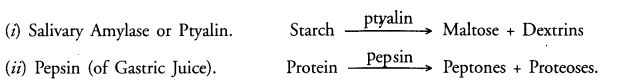 Life Processes Class 10 Important Questions and Answers Science Chapter 6 image - 1