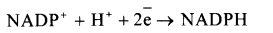 Life Processes Class 10 Important Questions and Answers Science Chapter 6 image - 18