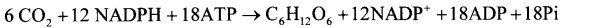 Life Processes Class 10 Important Questions and Answers Science Chapter 6 image - 19