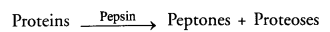 Life Processes Class 10 Important Questions and Answers Science Chapter 6 image - 59