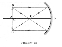 Light Reflection and Refraction Class 10 Important Questions Science Chapter 10 image - 22