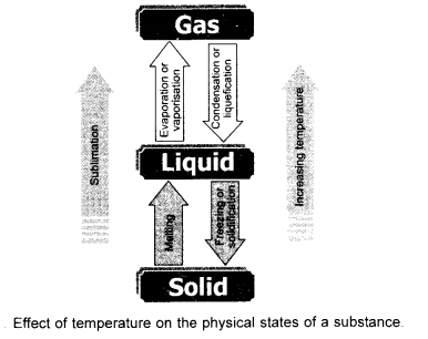 Matter in Our Surroundings Class 9 Important Questions Science Chapter 1 img 2