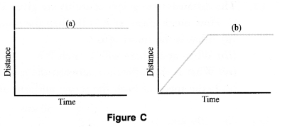 Motion Class 9 Important Questions Science Chapter 8 image - 10