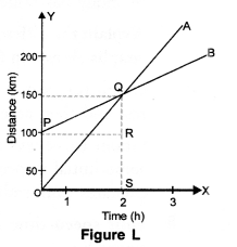 Motion Class 9 Important Questions Science Chapter 8 image - 15