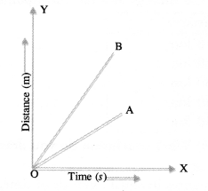 Motion Class 9 Important Questions Science Chapter 8 image - 18