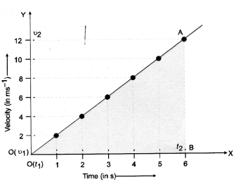 Motion Class 9 Important Questions Science Chapter 8 image - 7