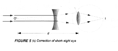 NCERT Exemplar Solutions for Class 10 Science Chapter 11 Human Eye and Colourful World image - 5