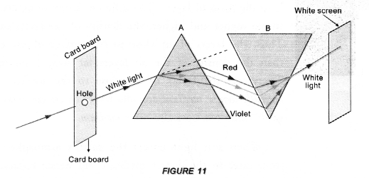 NCERT Exemplar Solutions for Class 10 Science Chapter 11 Human Eye and Colourful World image - 7