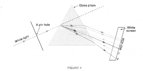 NCERT Exemplar Solutions for Class 10 Science Chapter 11 Human Eye and Colourful World image - 8