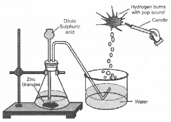 NCERT Exemplar Solutions for Class 10 Science Chapter 2 Acids, Bases and Salts image - 12