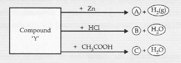 NCERT Exemplar Solutions for Class 10 Science Chapter 2 Acids, Bases and Salts image - 18