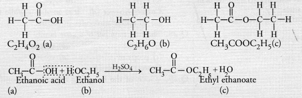 NCERT Exemplar Solutions for Class 10 Science Chapter 4 Carbon and Its Compounds image - 18