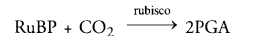 NCERT Exemplar Solutions for Class 10 Science Chapter 6 Life Processes image - 11