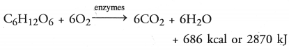 NCERT Exemplar Solutions for Class 10 Science Chapter 6 Life Processes image - 15